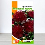 Насіння айстри голчастої Вишневий король, бордова, 0,3г, ТМ Яскрава
